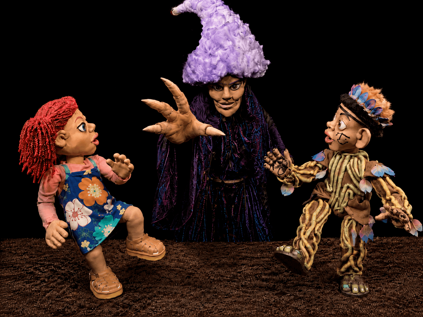 Coração de Gravetos (Dália e o Guaxinim)