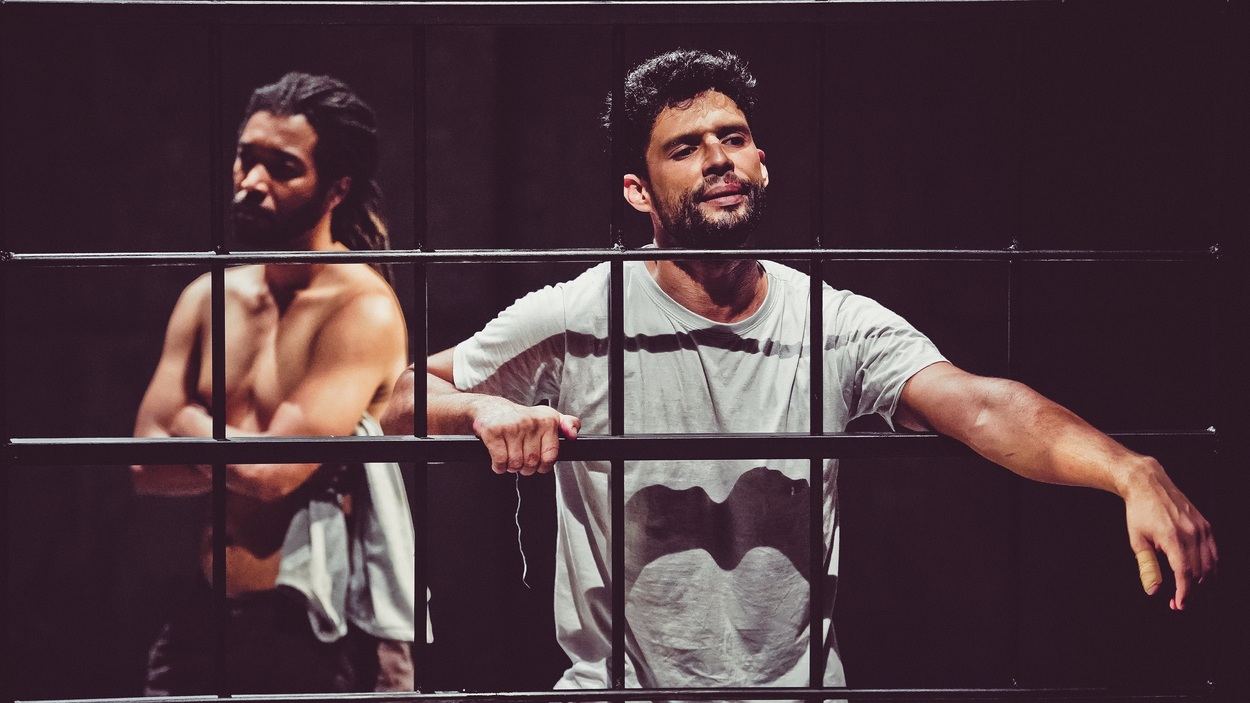 CÁRCERE OU PORQUE AS MULHERES VIRAM BÚFALOS